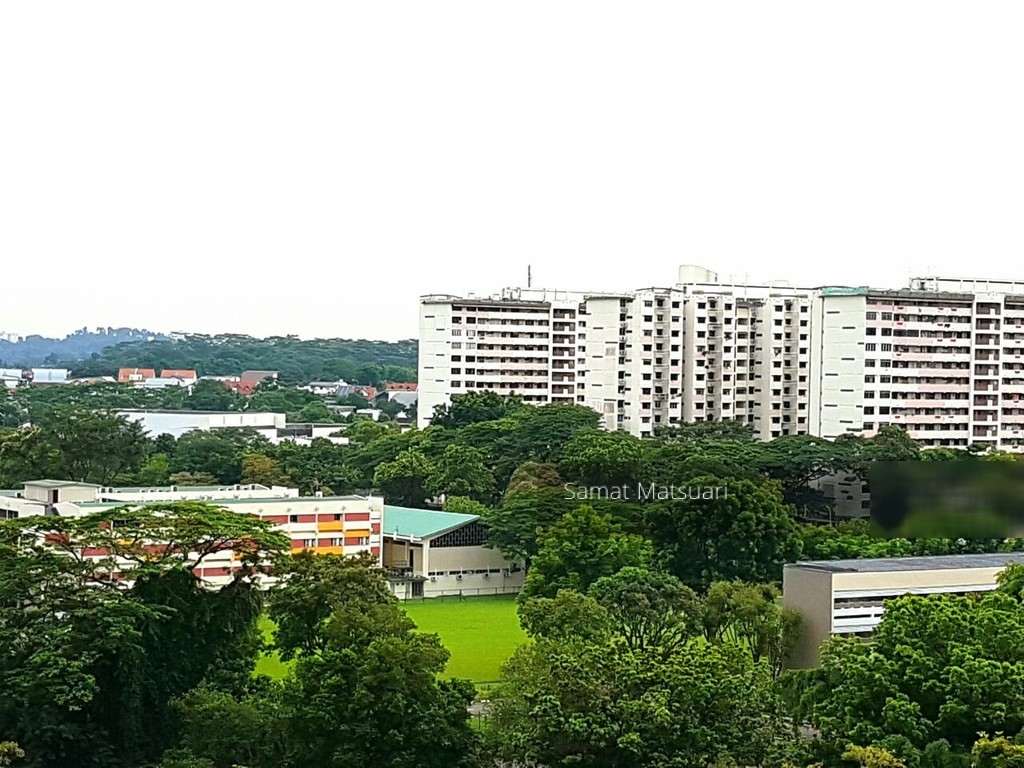 Ghim Moh Link thumbnail photo